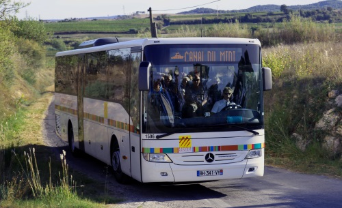 Midi Bus W